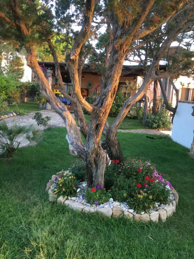 קאלה ליברוטו Villa Edo מראה חיצוני תמונה